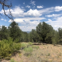 Twisted Pinon Ranch images 3