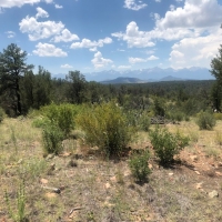 Twisted Pinon Ranch images 4