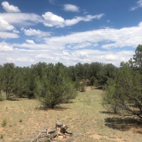Twisted Pinon Ranch images 5