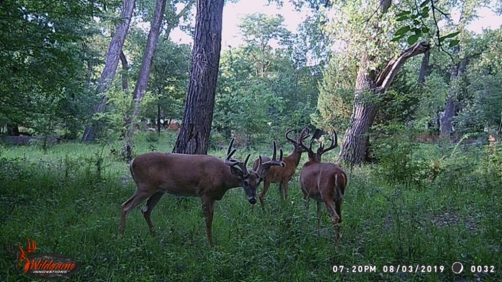 South Loup Sanctuary featured image
