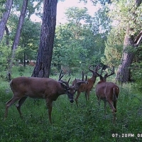 South Loup Sanctuary