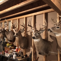 South Loup Sanctuary images 2