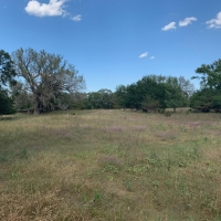 South Loup Sanctuary images 5
