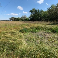 South Loup Sanctuary images 6