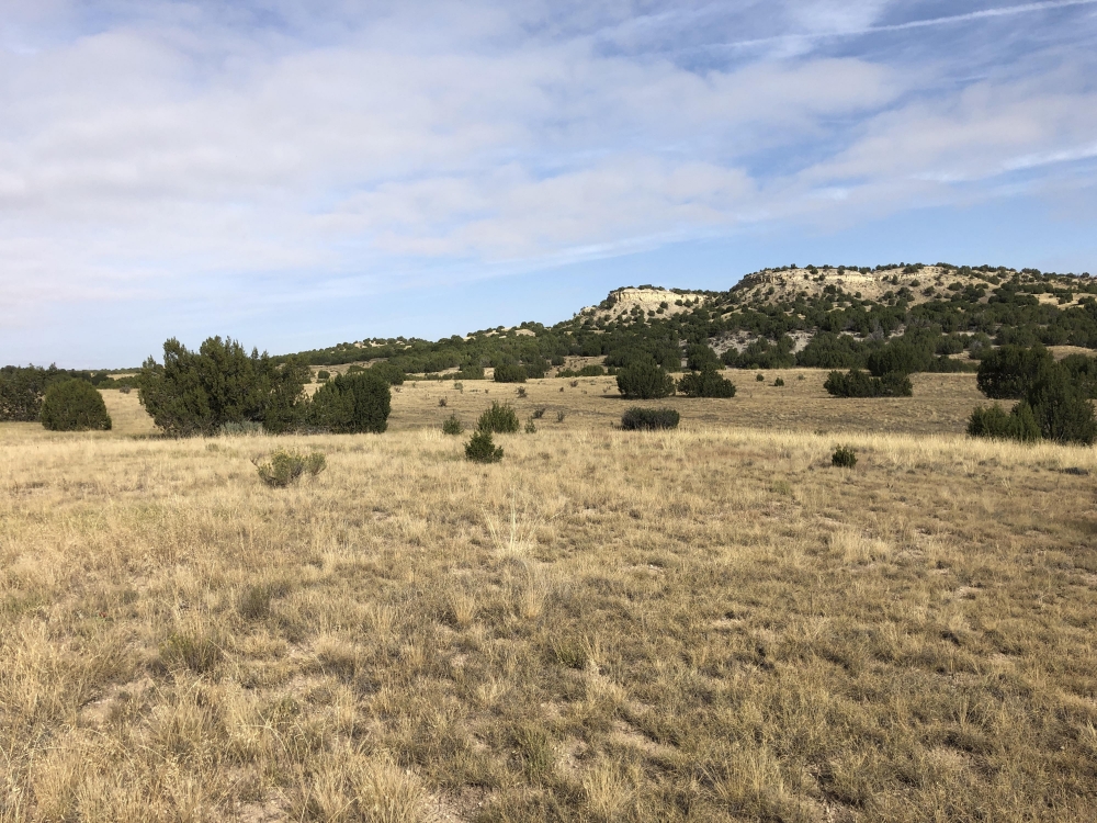 Red Creek Ranch Bronquist featured image