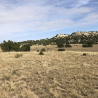 Red Creek Ranch Bronquist
