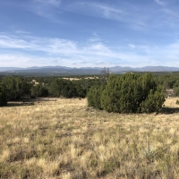 Red Creek Ranch Bronquist images 2