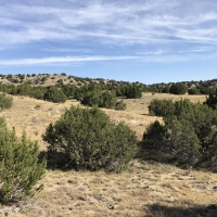 Red Creek Ranch Bronquist images 3