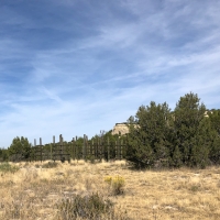 Red Creek Ranch Bronquist images 4