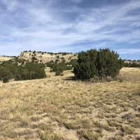 Red Creek Ranch Bronquist images 5