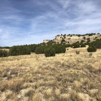 Red Creek Ranch Bronquist images 6
