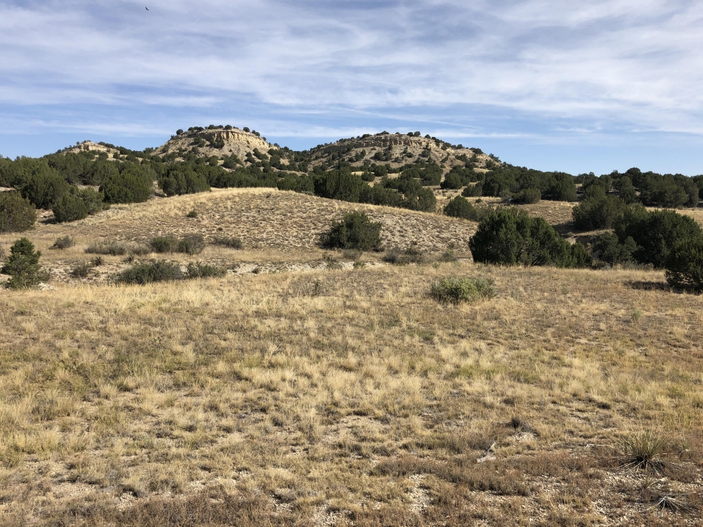 Red Creek Ranch Bronquist West featured image