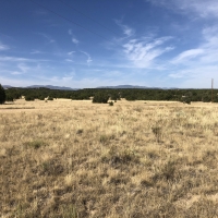 Red Creek Ranch Bronquist West images 2
