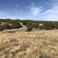 Red Creek Ranch Bronquist West images 3