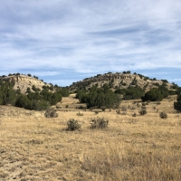 Red Creek Ranch Bronquist West images 6