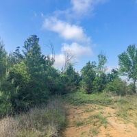 10.583 Acres &nbsp; Highland Hills &nbsp; Lot 5 images 2