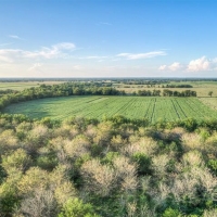 130 &nbsp; - Acres - S. 220 Road Wagoner  OK 74467 images 3