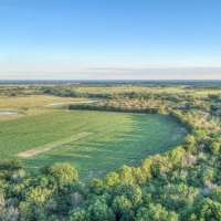 130 &nbsp; - Acres - S. 220 Road Wagoner  OK 74467 images 4