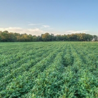 130 &nbsp; - Acres - S. 220 Road Wagoner  OK 74467 images 5