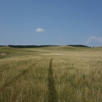 Prairie Hill Ranch images 2