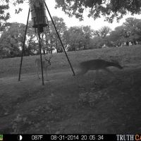 100+ Acre Year-Round Daily Bow and Rifle Hunting