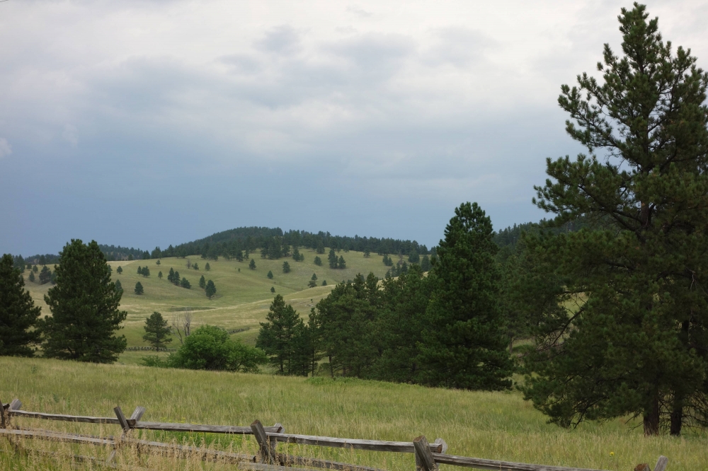 Cobb Ridge Ranch featured image