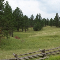 Cobb Ridge Ranch images 6