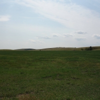 Park View Ranch images 4