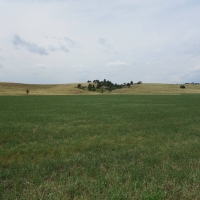 Park View Ranch images 5