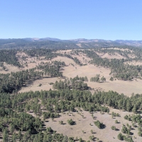 Park View Ranch images 6