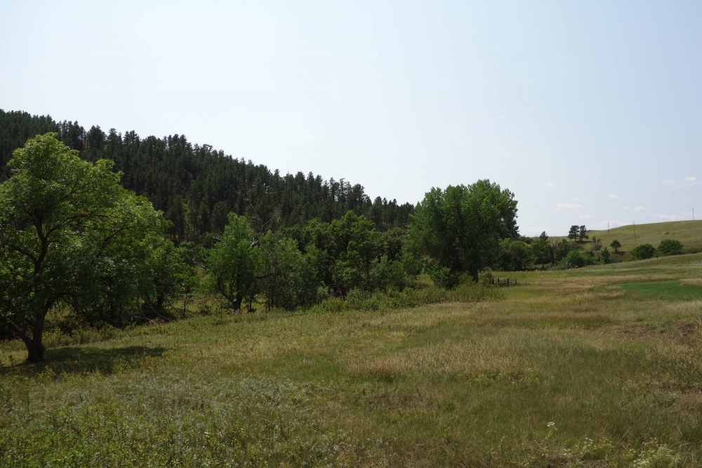 Elk Basin Ranch featured image