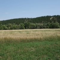 Elk Basin Ranch images 6