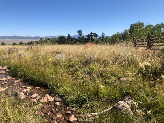Colony Creek Hunting Land featured image