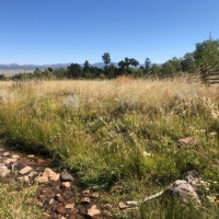 Colony Creek Hunting Land
