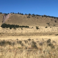 Colony Creek Hunting Land images 2