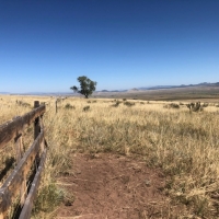 Colony Creek Hunting Land images 3