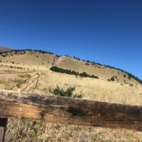 Colony Creek Hunting Land images 4
