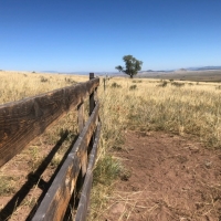 Colony Creek Hunting Land images 5