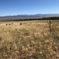 Colony Creek Hunting Land images 6
