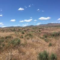 135 month  4.33 acres in Ryndon  Elko Nevada. Corner lot with great access images 4