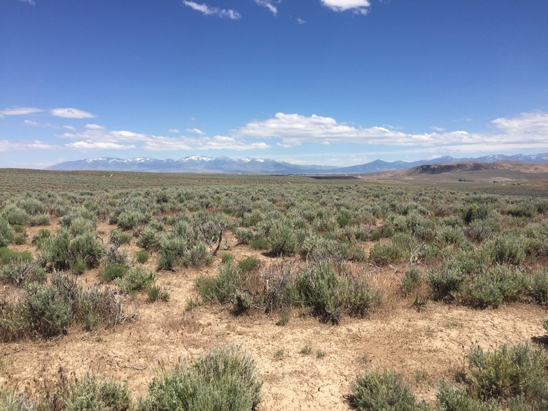 135 month  4.33 acres in Ryndon  Elko Nevada. Corner lot with great access featured image