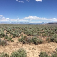135 month  4.33 acres in Ryndon  Elko Nevada. Corner lot with great access