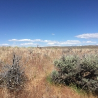 135 month  4.33 acres in Ryndon  Elko Nevada. Corner lot with great access images 2