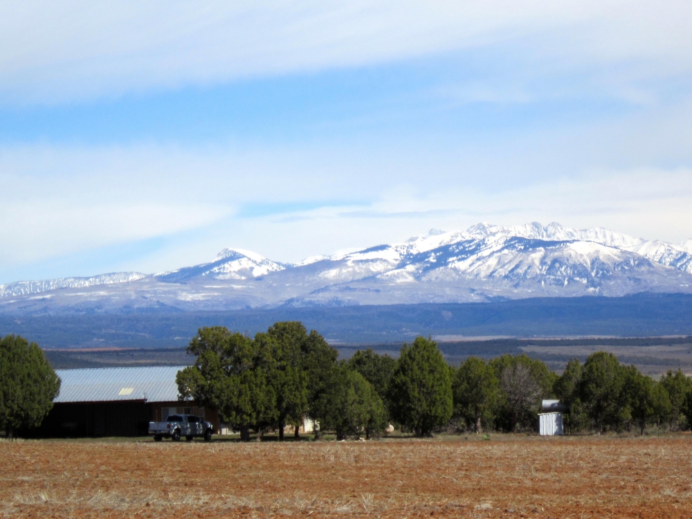 Red Mesa Wheat Farm  amp  Hunting Ranch featured image