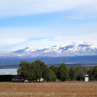 Red Mesa Wheat Farm  amp  Hunting Ranch