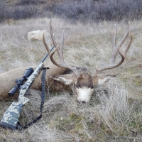 Red Mesa Wheat Farm  amp  Hunting Ranch images 2
