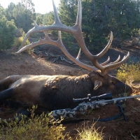 Red Mesa Wheat Farm  amp  Hunting Ranch images 3