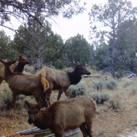 Red Mesa Wheat Farm  amp  Hunting Ranch images 4