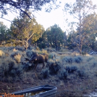 Red Mesa Wheat Farm  amp  Hunting Ranch images 6