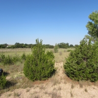 Riverview Ranch images 6